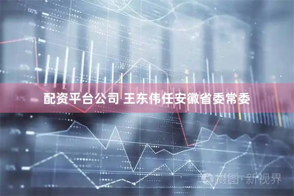 配资平台公司 王东伟任安徽省委常委